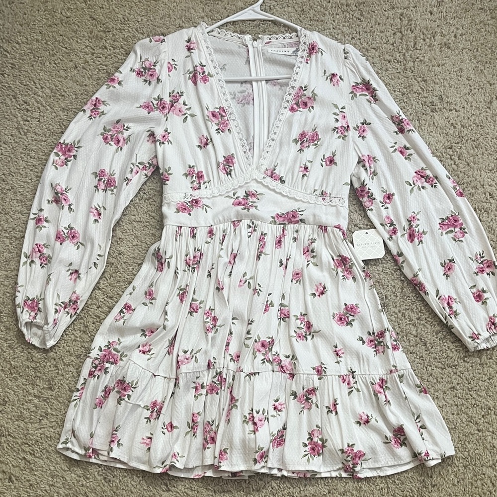 Altard state Floral Pink and White Womens Dress